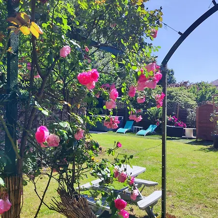 Casa de hóspedes Lucriolla 3*